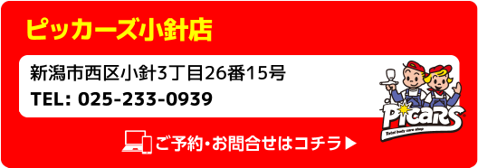 Picars ピッカーズ小針店 新潟市西区小針3丁目26番15号 TEL:025-233-0939 ご予約・お問合せはコチラ